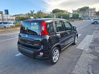 FIAT Panda usata, con Antifurto
