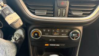 FORD Puma usata, con Bracciolo