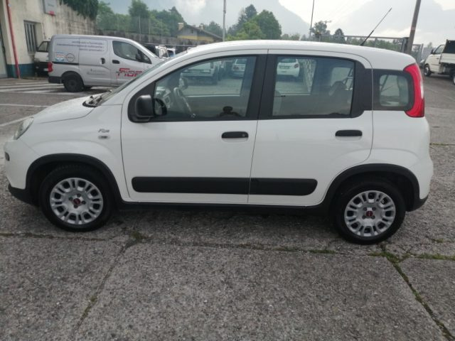 FIAT Panda usata, con Controllo trazione