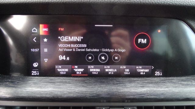 ALFA ROMEO Stelvio usata 103