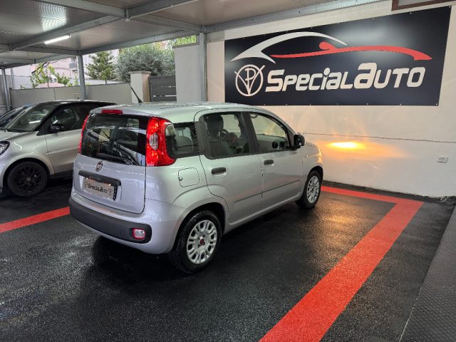 FIAT Panda usata 4