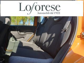 FIAT Panda usata, con Controllo trazione