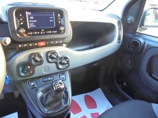 FIAT Panda usata 30