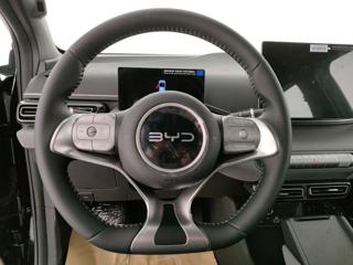 BYD Dolphin usata, con Autoradio