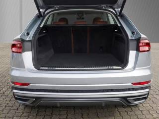 AUDI Q8 usata, con Fendinebbia