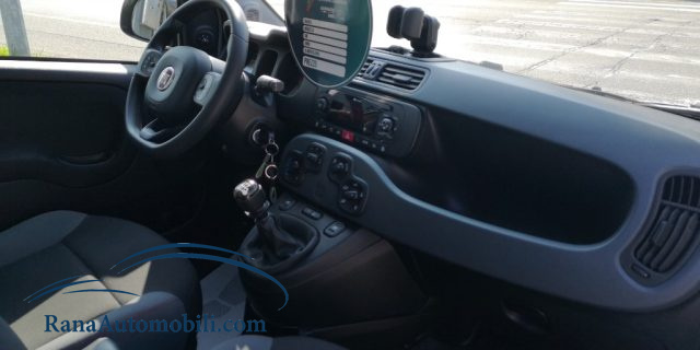 FIAT Panda usata, con Fendinebbia