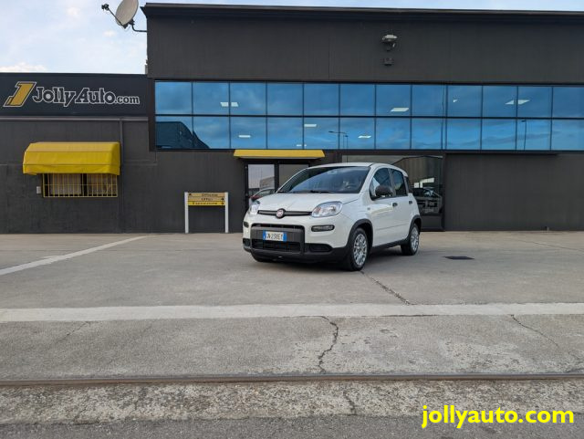 FIAT Panda usata, con Airbag testa
