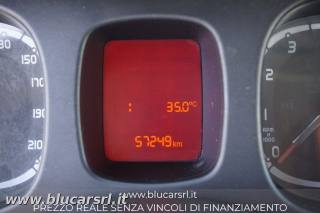 FIAT Panda usata 8