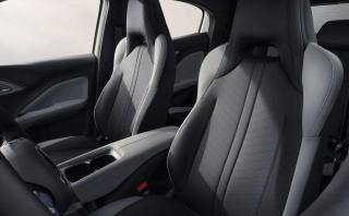 BYD Dolphin Surf usata, con Volante in pelle