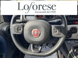 FIAT Panda Cross usata, con ESP