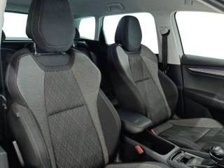 SKODA Karoq usata, con Filtro antiparticolato