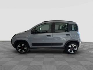 FIAT Panda usata 1