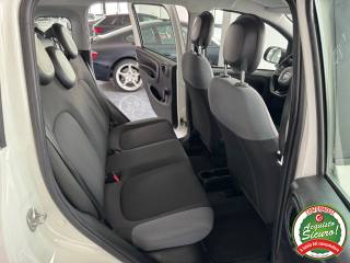 FIAT Panda usata, con Controllo trazione