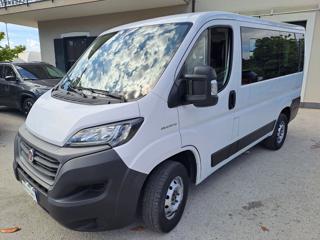 FIAT Ducato usata, con ESP