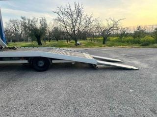 RENAULT Trafic usata 18