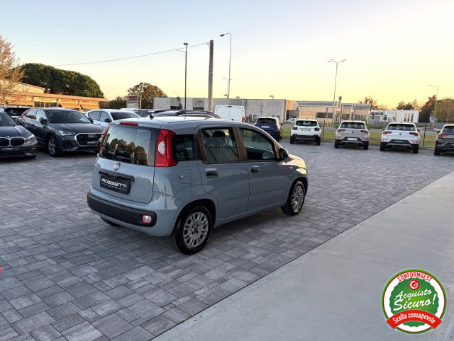 FIAT Panda usata, con Controllo trazione