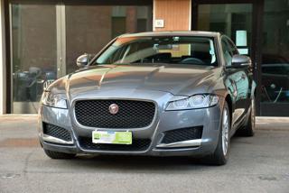 JAGUAR XF 2.0 D 180 CV Prestige Business