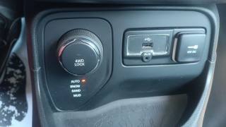 JEEP Renegade usata, con USB