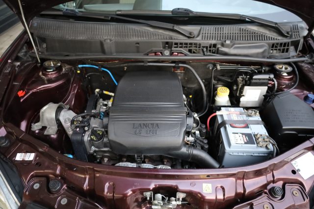 LANCIA Ypsilon usata 81