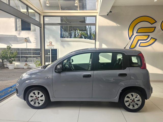 FIAT Panda usata, con Airbag laterali