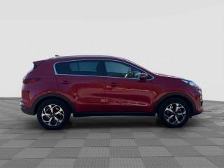 KIA Sportage usata 5