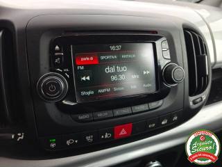 FIAT 500L usata, con Cruise Control