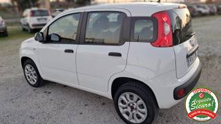 FIAT Panda usata, con ESP