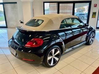 VOLKSWAGEN Maggiolino usata, con Airbag Passeggero