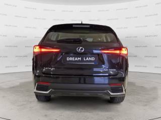 LEXUS NX 300 usata, con Alzacristalli elettrici