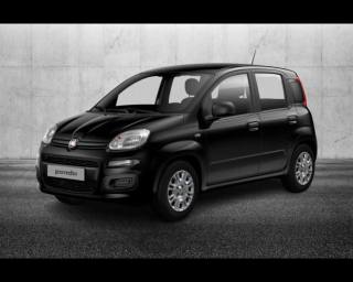 FIAT Panda 1.0 FireFly S&S Hybrid Pandina