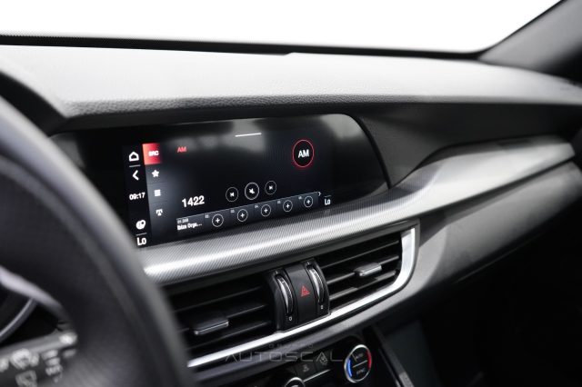 ALFA ROMEO Stelvio usata, con Volante in pelle