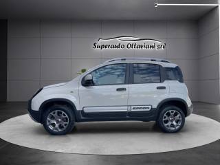 FIAT Panda Cross usata, con Airbag laterali