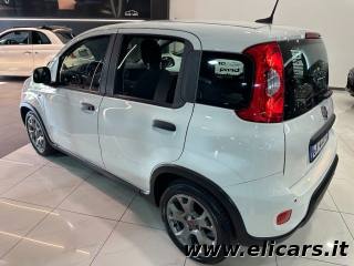 FIAT Panda usata, con Alzacristalli elettrici