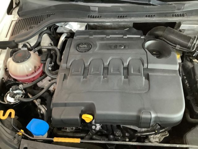 SKODA Rapid usata 21