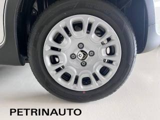 FIAT Panda usata, con Volante multifunzione