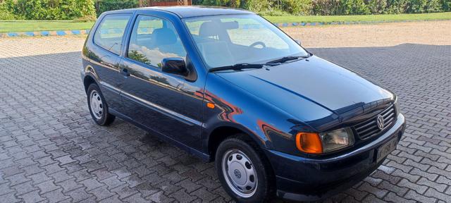 VOLKSWAGEN Polo usata 2