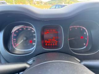 FIAT Panda usata, con Airbag testa