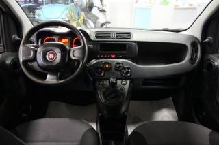 FIAT Panda usata, con Fendinebbia