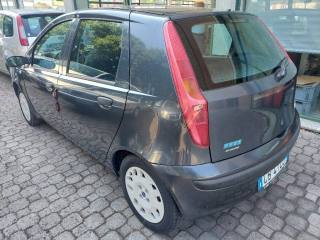FIAT Punto usata, con Chiusura centralizzata