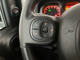 FIAT Panda usata 19