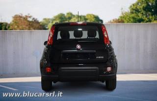 FIAT Panda usata, con Antifurto