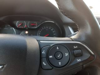 OPEL Grandland X usata, con Fendinebbia