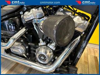 HARLEY-DAVIDSON Softail Standard usata 13