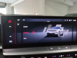 OPEL Grandland usata, con Interni in pelle