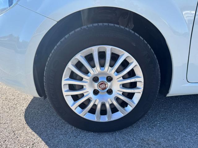 FIAT Punto usata, con Marmitta catalitica