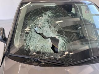 VOLKSWAGEN Tiguan usata, con ESP