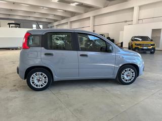 FIAT Panda usata, con Climatizzatore
