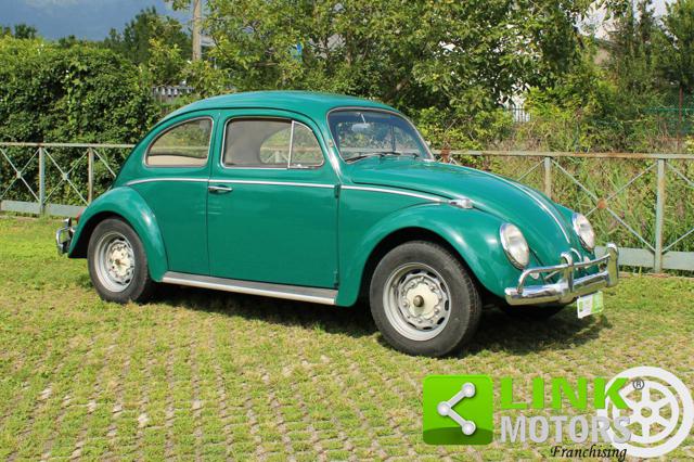 VOLKSWAGEN Maggiolino usata 22