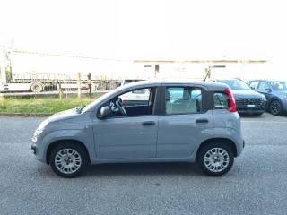 FIAT Panda usata, con Boardcomputer