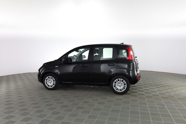 FIAT Panda usata 5